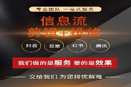 SEM广告投放的技巧与策略——成功案例分享
